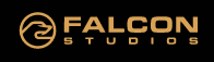 87% off Falcon Studios Coupon